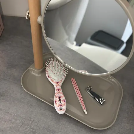 Maison Luxe Orion Aeroport 2 A 4 Personnes * Tille